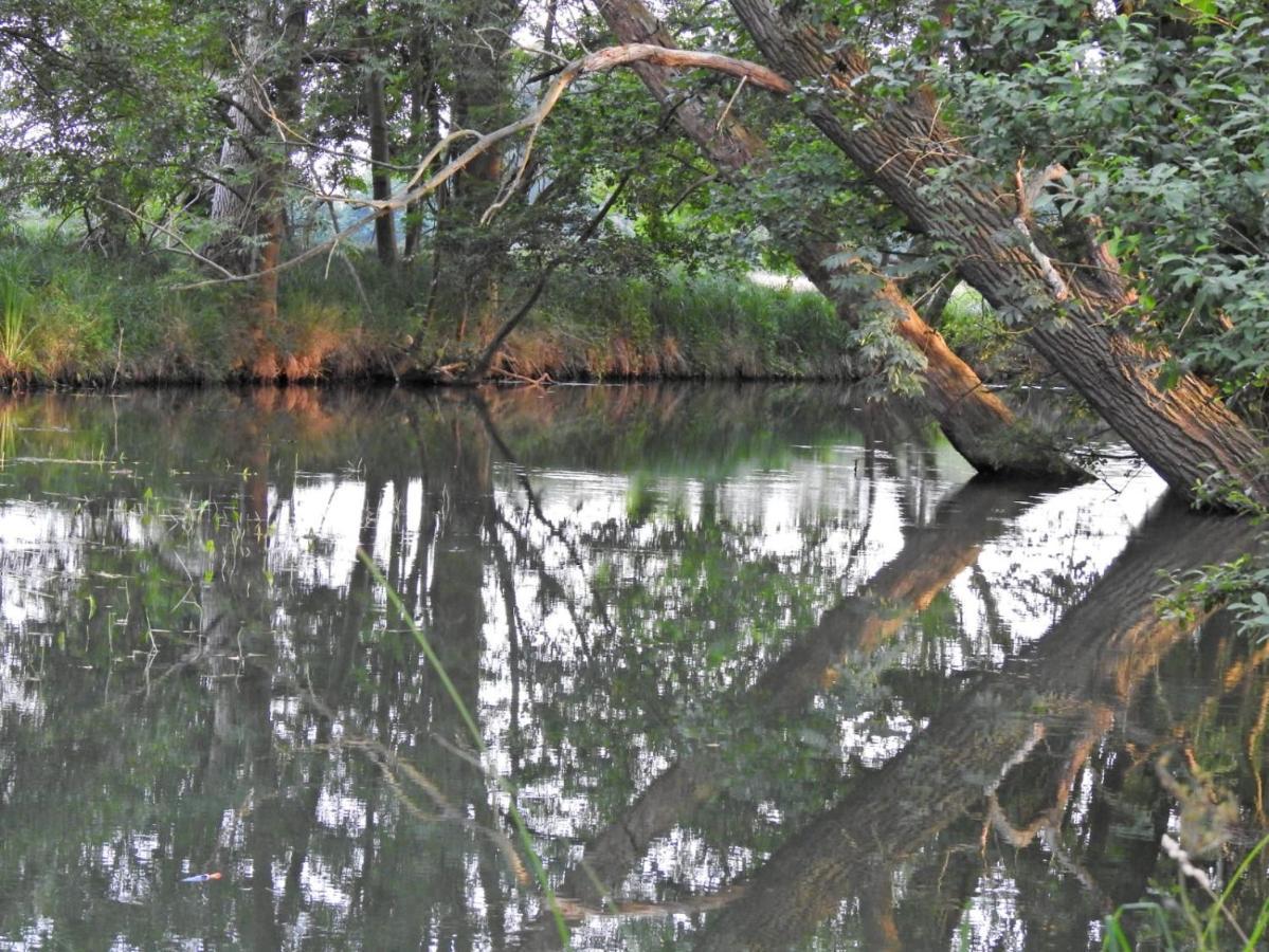 Storchenhof Daire Schmogrow Dış mekan fotoğraf