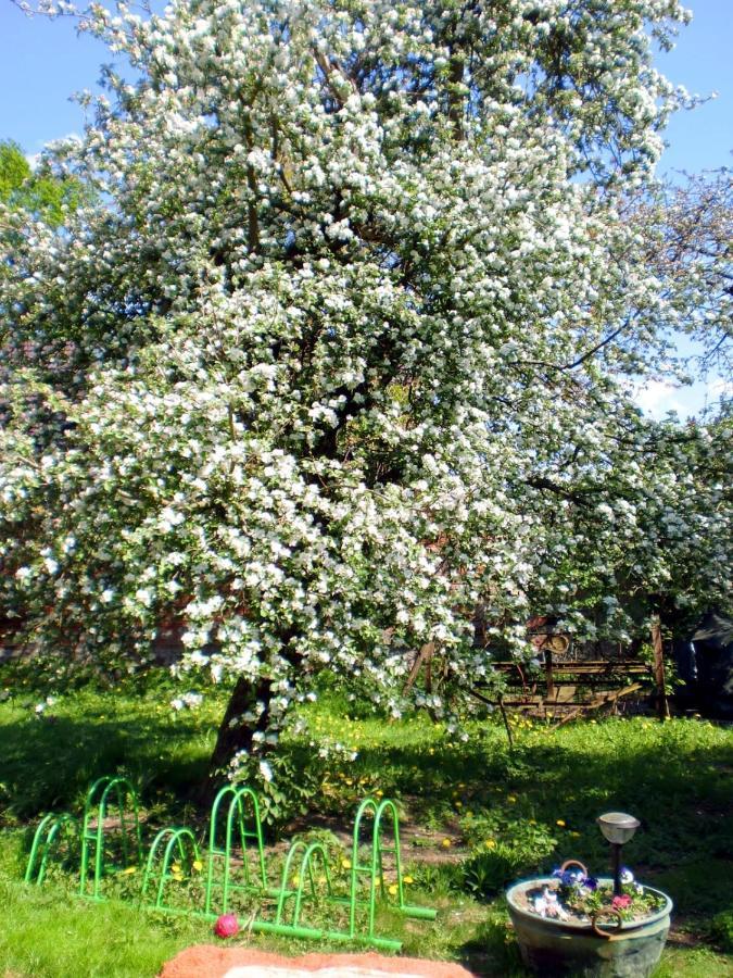 Storchenhof Daire Schmogrow Dış mekan fotoğraf