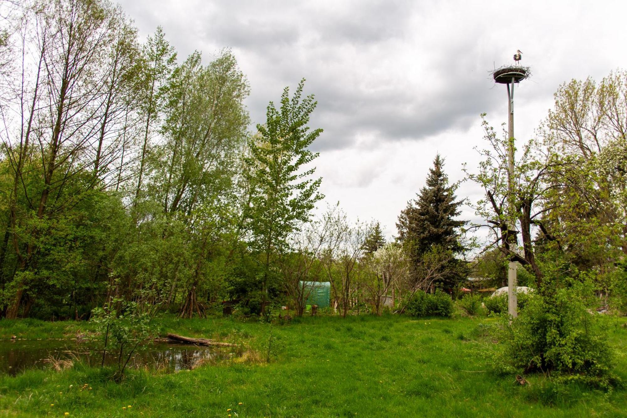 Storchenhof Daire Schmogrow Dış mekan fotoğraf