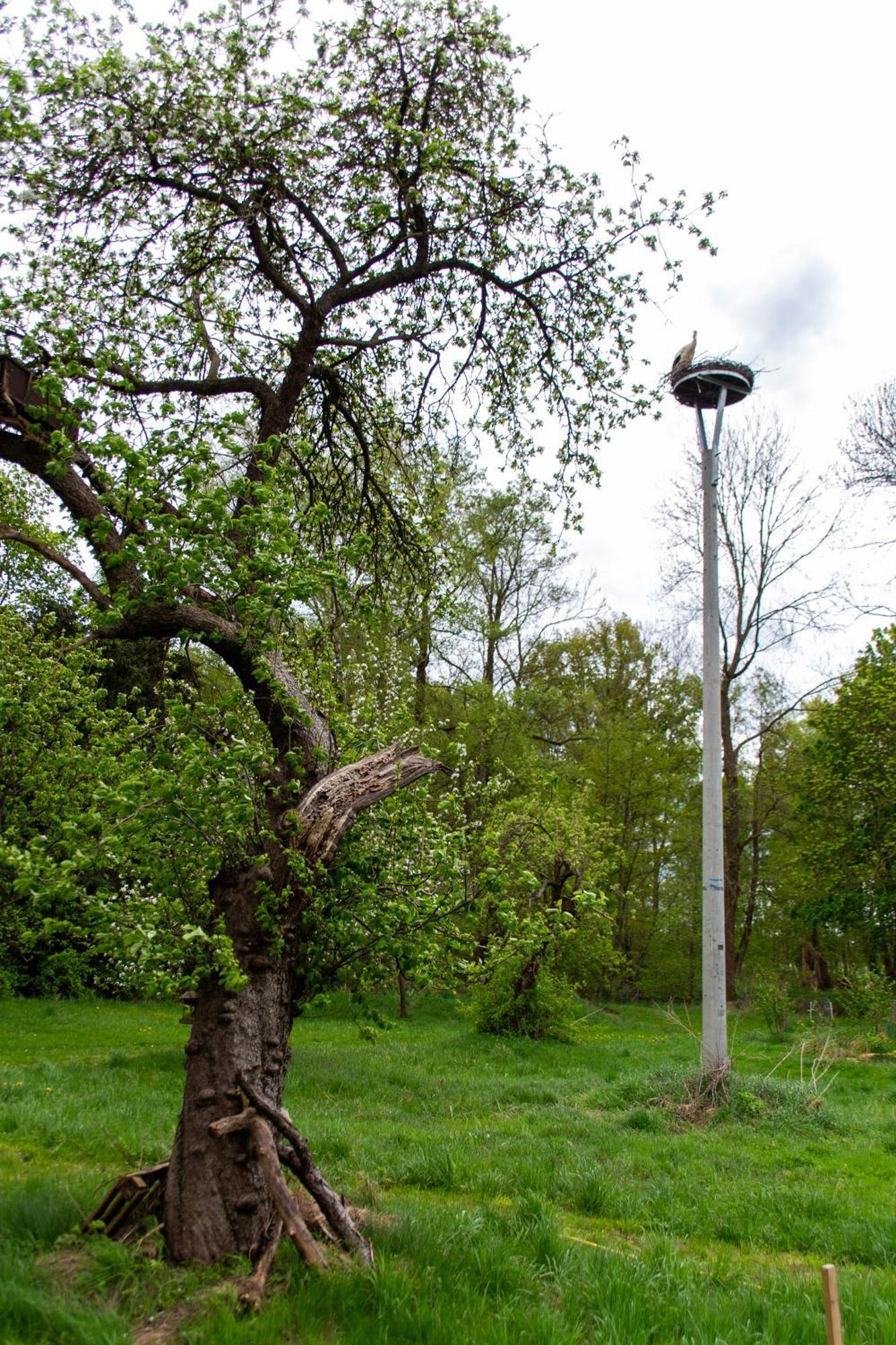 Storchenhof Daire Schmogrow Dış mekan fotoğraf