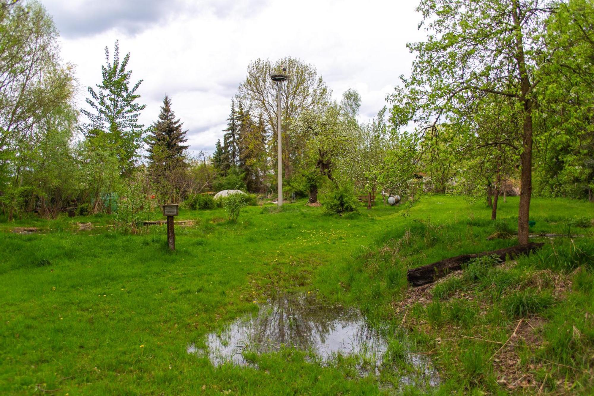 Storchenhof Daire Schmogrow Dış mekan fotoğraf