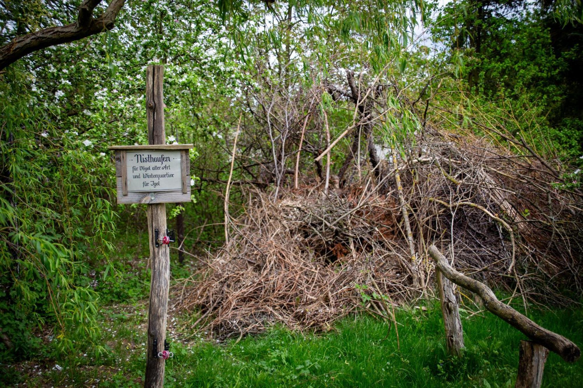 Storchenhof Daire Schmogrow Dış mekan fotoğraf