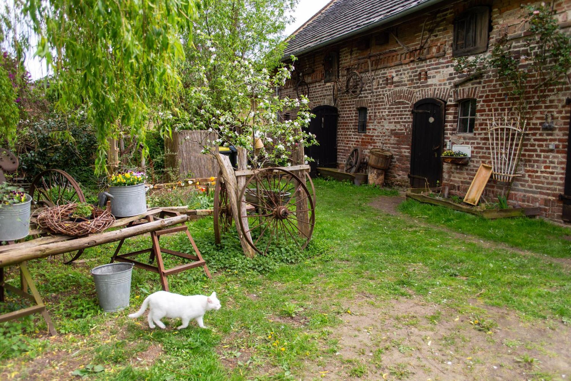 Storchenhof Daire Schmogrow Dış mekan fotoğraf
